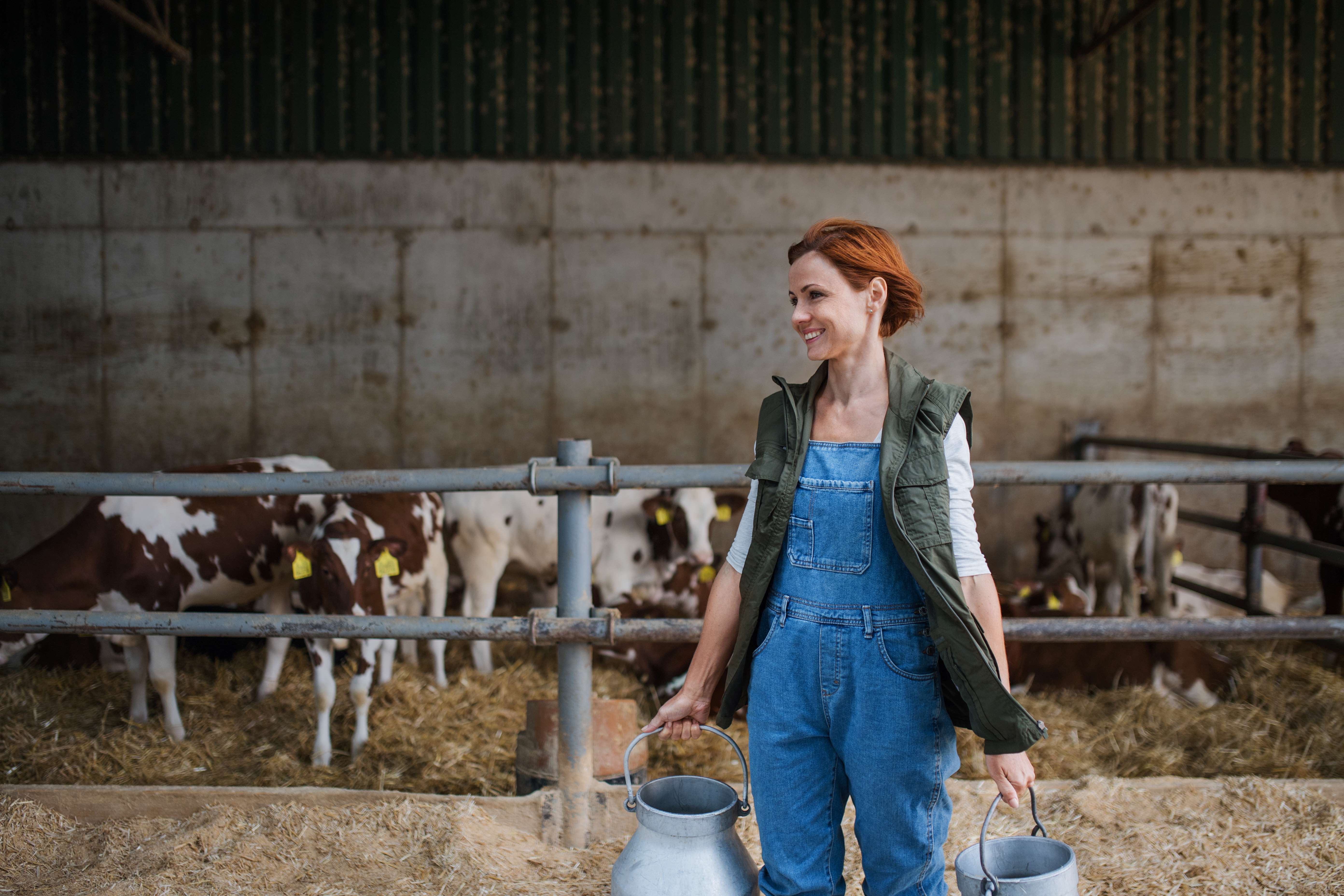 Farmer woman standing and smiling in front of calves, holding metal buckets