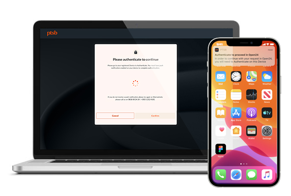Authenticare screen desktop.jpg